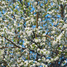 Лучшие фото. ПРИРОДА (0)