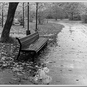 1978 .