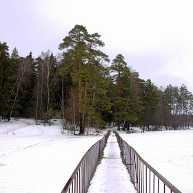 дорога в Липки
