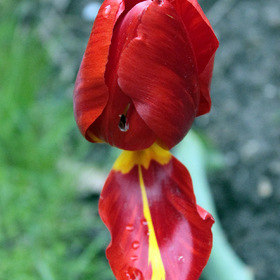 Фото