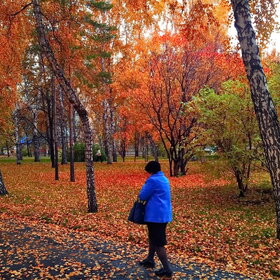 Лучшие фото. ПРИРОДА (0)