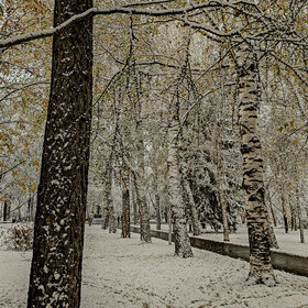 Лучшие фото. ПРИРОДА (0)