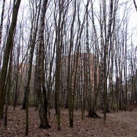Апрель в городе