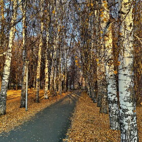 Новые фотографии. ПРИРОДА