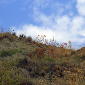 Осень в Крыму