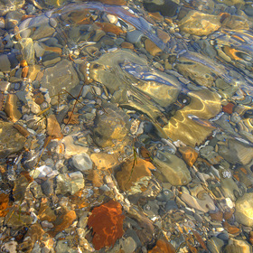 Картина, море и камни
