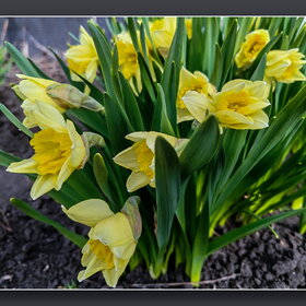 ПРИРОДА