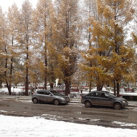 Лучшие фото. ПРИРОДА (0)