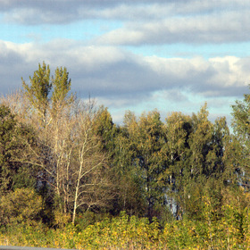 Осень