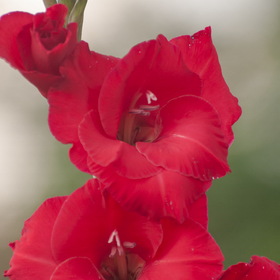 Случайные фотографии. Природа