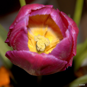 Фото