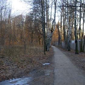 Салтыковка парк