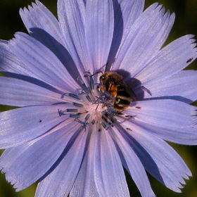 Природа.
