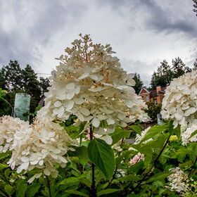 Новые фотографии. ПРИРОДА