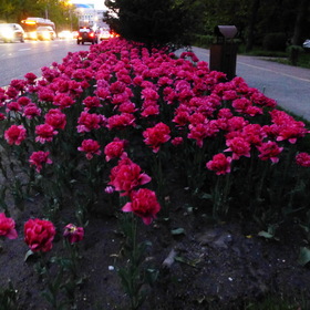 Фотографии из поездки Алматы.
