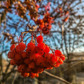 Лучшие фото. Природа (0)