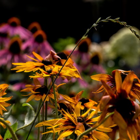 Природа