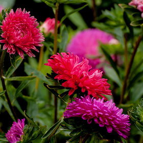 Лучшие фото. ПРИРОДА (0)