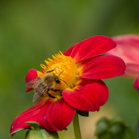 Случайные фотографии. Фотографии природы