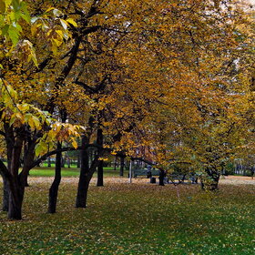 Лучшие фото. Природа (0)