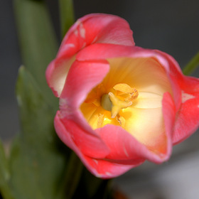 Фото