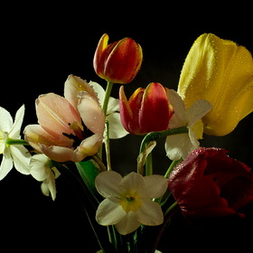природа