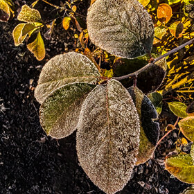 Лучшие фото. ПРИРОДА (0)