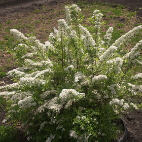 Лучшие фото. ПРИРОДА (0)