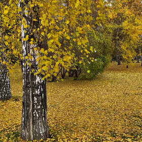 Лучшие фото. ПРИРОДА (0)