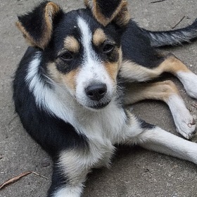 Случайные фотографии. Фото