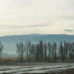 Природа, фотосъемка.