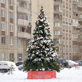 Зима в Подмосковье