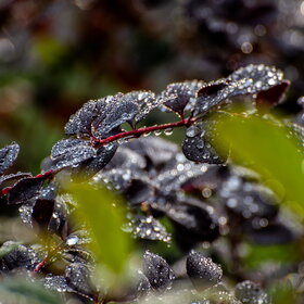 Новые фотографии. ПРИРОДА