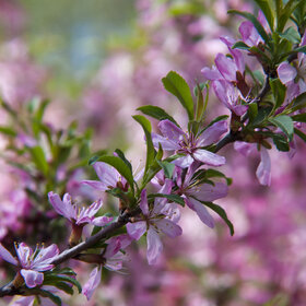 Лучшие фото. ПРИРОДА (0)