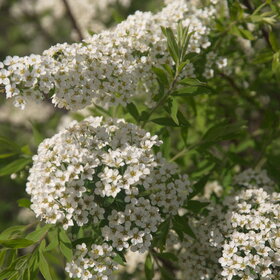 Лучшие фото. ПРИРОДА (0)