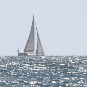 Парусник