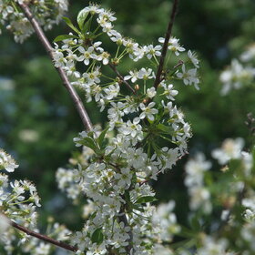 Лучшие фото. ПРИРОДА (0)