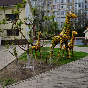 Фотографии из путешествия....детский сад.