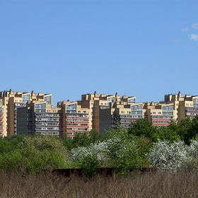 Павлино