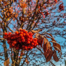 Лучшие фото. ПРИРОДА (0)