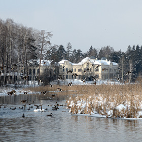 Пойма реки Пехорки