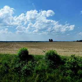 Природа, фотосъемка.Польша.