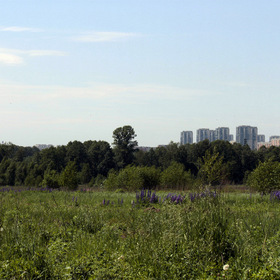 Город