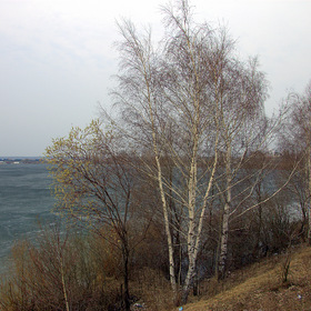 Город