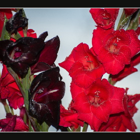 Природа