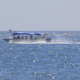 Морские прогулки