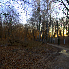 Салтыковка парк