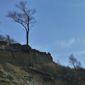 природа, фотосъемка. Балтийский берег.