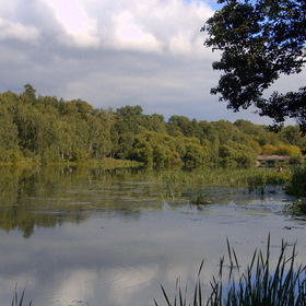 Пехорка