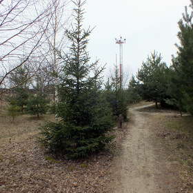 Апрельскими тропками